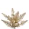 3ft. Pre-Lit Champagne Fir Artificial Christmas Tree, Warm White Dura-Lit® LED Lights